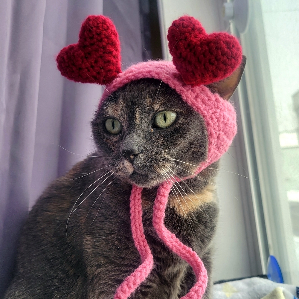 Pink and Red Heart Cat Hat